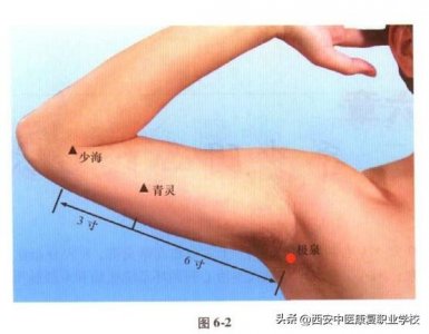 ​手少阴心经经穴——极泉穴