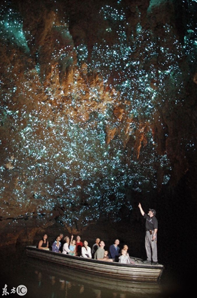 夜空中举着灯笼的萤火虫，盈盈发光美不胜收——萤火虫壁纸