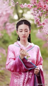 古装女神王丽坤的 十部好剧