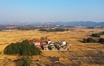 ​江西东乡：和美乡村 生态画卷