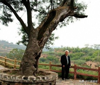 ​大荔南湖风景迷人！（任进法）