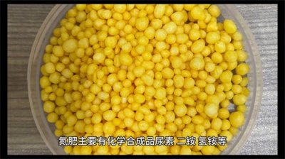 ​氮肥的功能与作用解析，农业科技必备！