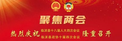 ​一图读懂｜2025年临沭县政府工作报告