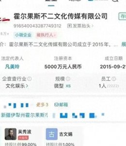​吴秀波的大瓜！吴秀波与其公司被强制执行4.66亿？