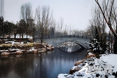 ​组图丨运城天逸公园雪景如画