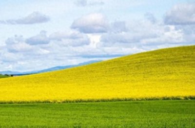 ​微信小程序购票系统为游客和景区管理者带来便利