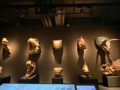 ​浙江自然博物院