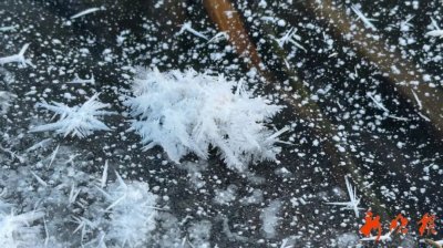 ​今年春节哈市天气如何？快来查收↘