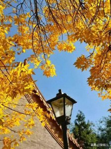 ​大善：知行如一，良知于行，是大善。