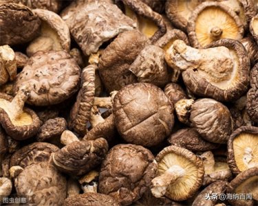 ​“中国香菇之乡”在哪里？