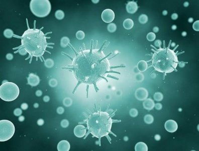 ​病毒和细菌，二者原来有这样一层关系！