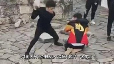 ​多名男子冲进校内追打学生已被抓