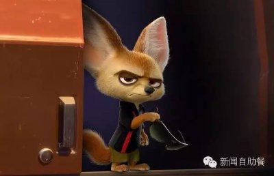 ​《疯狂动物城》让耳廓狐也火了，想养一只能买吗？