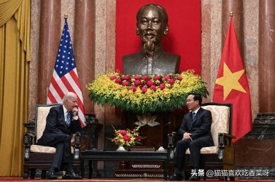 ​越南总统突然辞职：权游的序幕？