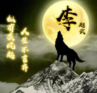 ​100张狼图腾姓氏头像，霸气版！我们都应该像狼一样去生活