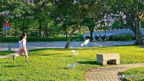 顺峰山公园，拥有中华第一牌坊，高过法国凯旋门