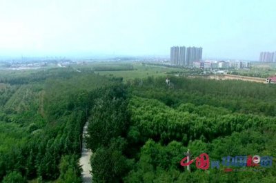 ​武安市西苑和东山两个森林公园实现提档升级