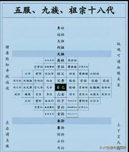 ​终于有人把五服、九族图，整理得一目了然，。不知道收藏仅供参考