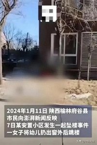 ​陕西某小区发生母子跳楼事件，引发社会关注和反思