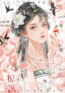​《掠妻》作者:白鹭下时