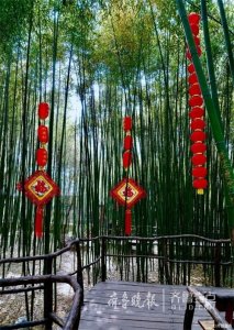 ​情报站｜临沂竹泉村竹林隐茅舍，清泉街上流