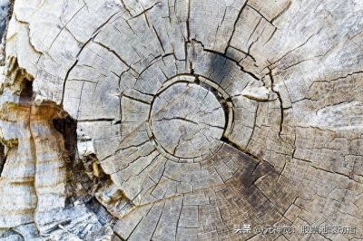 ​全球60家知名百年老店企业，第1名为日本公司；已经超过1400年！