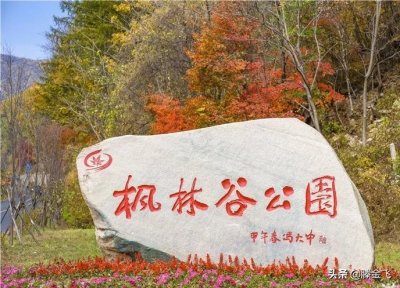 ​本溪枫林谷森林公园