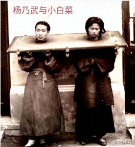 ​清末四大奇案-杨乃武与小白菜案-一桩冤案掀翻三十八颗人头