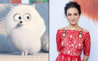 ​VR娱乐圈：《爱宠大机密》背后的十个配音演员