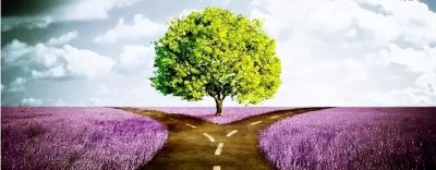 ​金波简介及代表作品（作家金波喜获两个文学奖项）