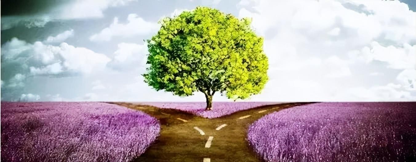 金波简介及代表作品（作家金波喜获两个文学奖项）