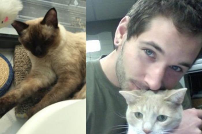 养猫的男人恋爱心理 喜欢猫的男人心理学(2)_