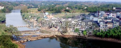 ​网上说吊丝定义是什么 男生说吊丝是意思