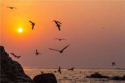 ​威海可带走的特产零食有啥