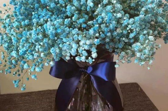 满天星怎么养在水里(图)(图3)