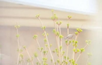 ​血腥电梯惊现？假如遇到电梯突然坠落的情况怎么办？