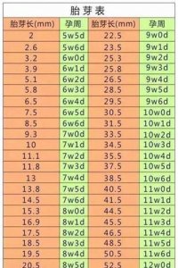 ​怀孕的时间怎么计算(怀孕计算器 怀孕周期计算器)
