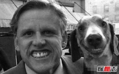 ​揭秘微笑狗是什么