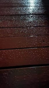 ​杭州下雪子了！你感觉到了吗？拍到了吗？