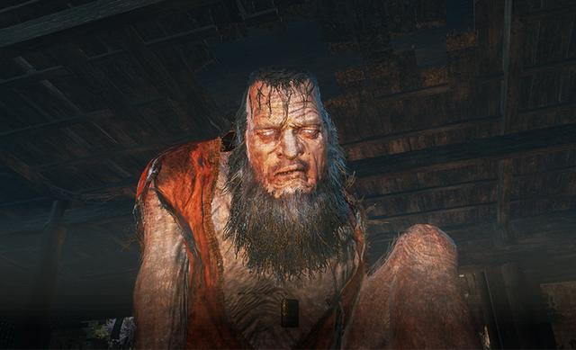 只狼背景故事和优点（只狼背景故事全面深度解析）(27)