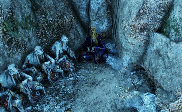 只狼背景故事和优点（只狼背景故事全面深度解析）(15)