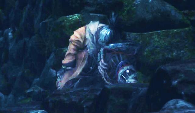 只狼背景故事和优点（只狼背景故事全面深度解析）(21)