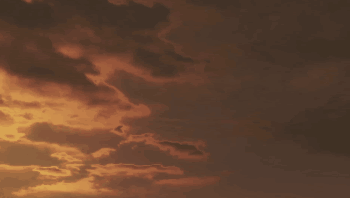 只狼背景故事和优点（只狼背景故事全面深度解析）(24)