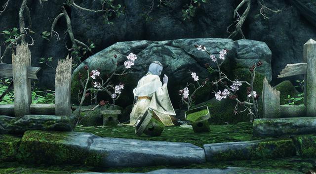 只狼背景故事和优点（只狼背景故事全面深度解析）(8)