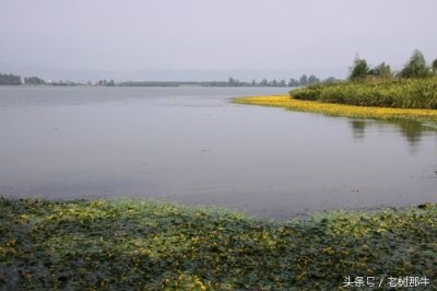 ​四川有个湖叫邛海，风光真是美
