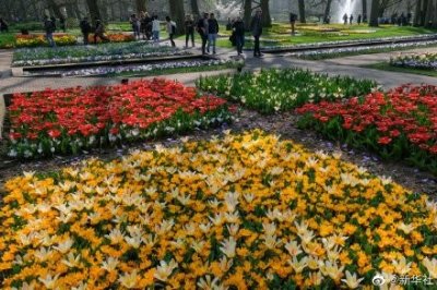 ​荷兰库肯霍夫公园面向公众全面开放