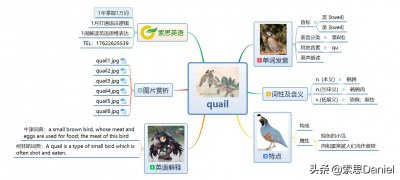 ​索思英语解码单词（第20个）——quail 鹌鹑