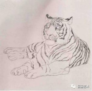 ​刘扬工笔虎画法步骤