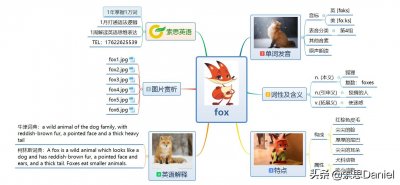 ​索思英语解码单词（第18个）——fox 狐狸