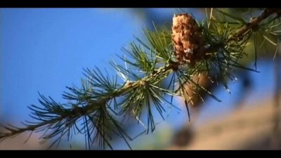 ​一光年是多远？也许是人类永远也想象不到也达不到的距离。